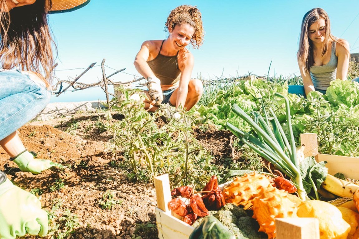 La asociación de mujeres rurales Fademur se une al programa Airbnb Rural