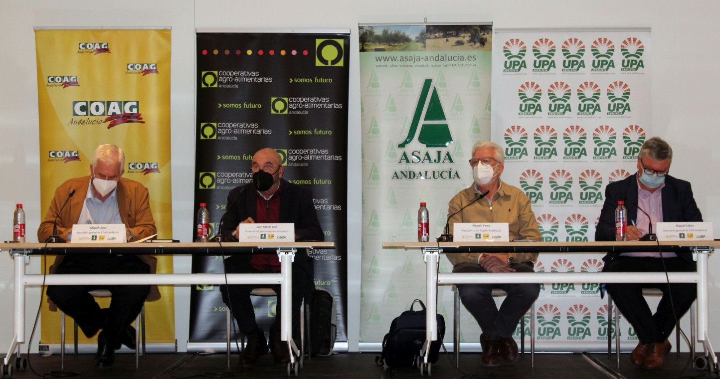 El sector agrario andaluz decide iniciar un periodo indefinido de movilizaciones