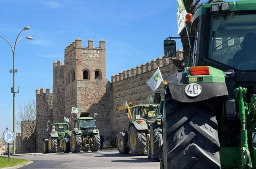 Tractorada en Toledo para reclamar un plan para el olivar afectado por Filomena