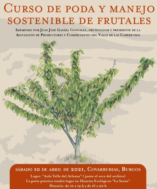 Curso de Poda y Manejo Sostenible de Frutales en Covarrubias