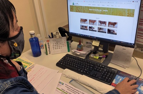 Lorra S. Coop. crea una plataforma de subasta online de ganado