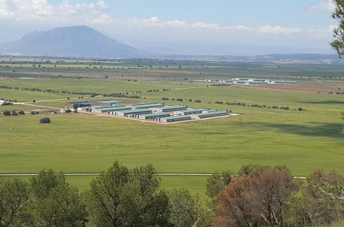 Cefusa promueve grupos de mejora para reducir el consumo de agua en sus granjas