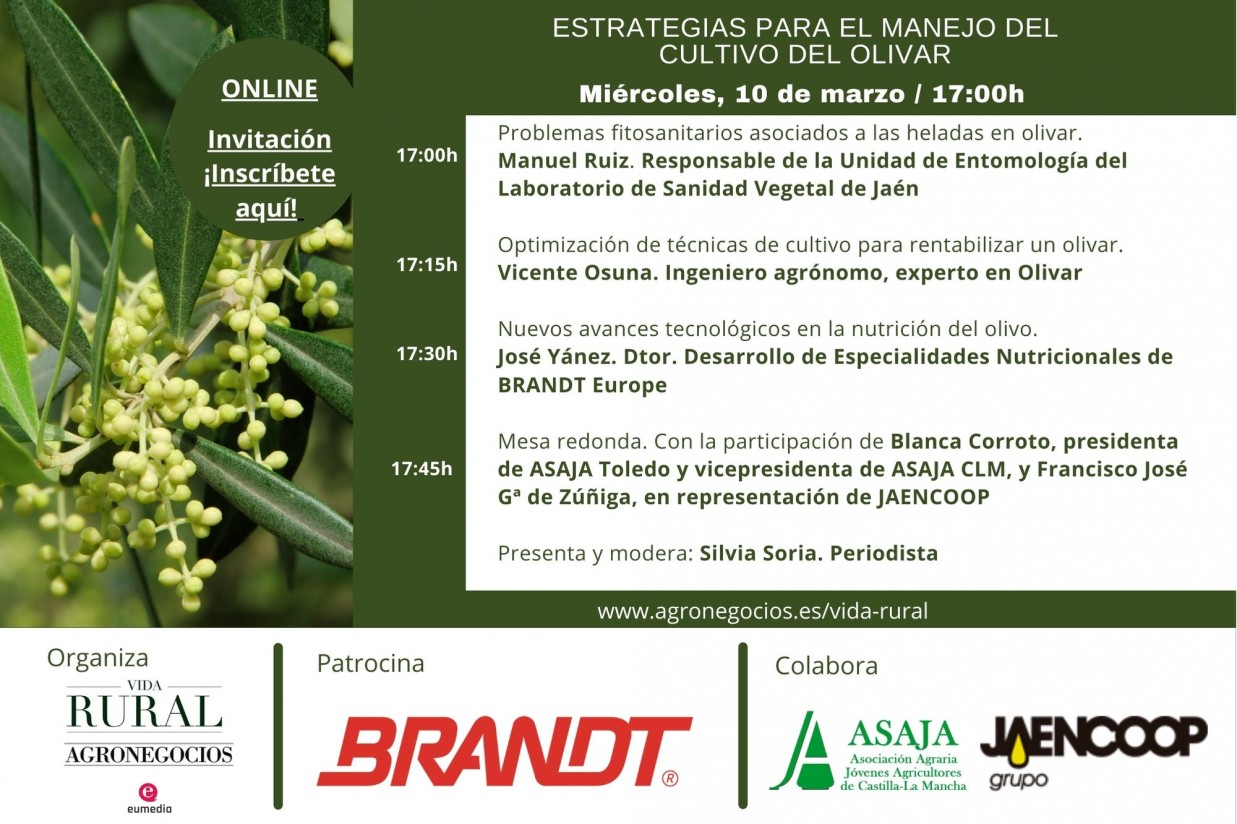 Vida Rural organiza un webinar sobre estrategias para el manejo del cultivo del olivar