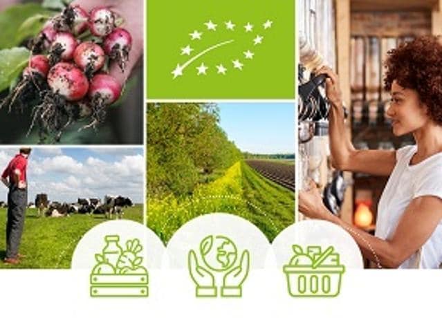 Bruselas presenta su Plan de Acción para desarrollar la producción ecológica en la UE de aquí hasta 2030