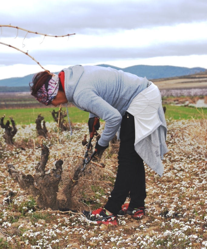 Unos 2.510 jóvenes agricultores perciben casi 11,6 M€ de derechos de pago básico de la reserva nacional de la PAC 2020