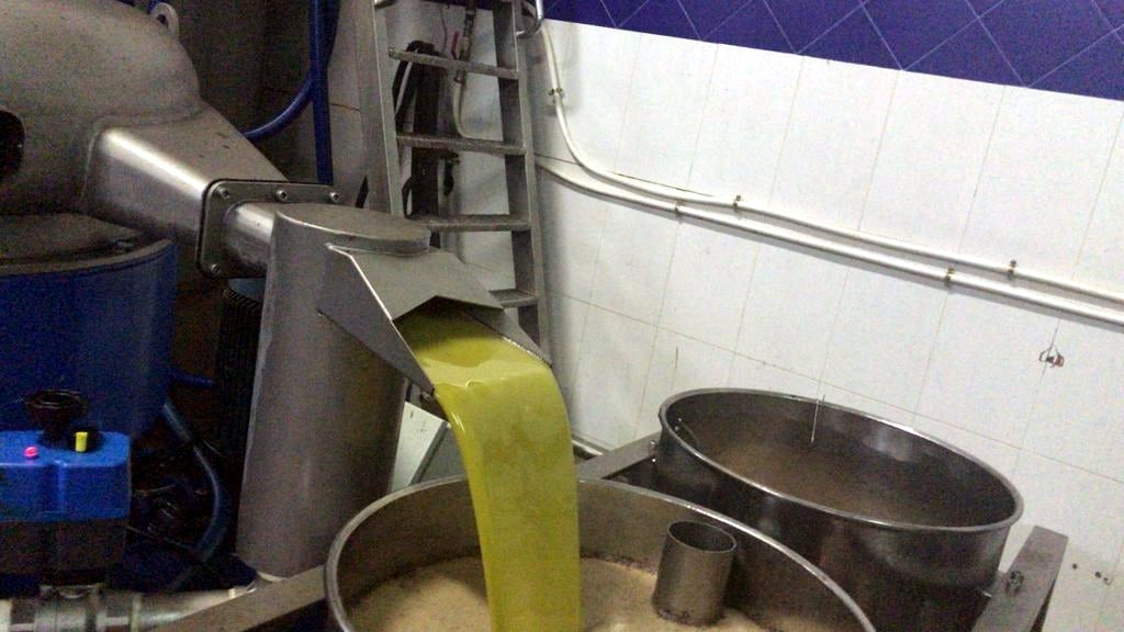 Las salidas de aceite de oliva al mercado habrían superado las 145.000 t en febrero