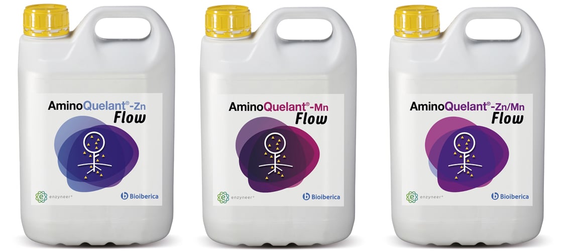 Bioibérica lanza la gama AminoQuelant Flow con L-α-aminoácidos para el estrés carencial