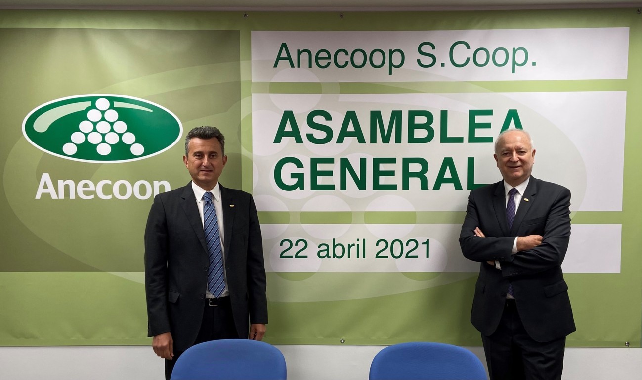 Anecoop obtiene una facturación récord de 770,5 M€ con menor volumen comercializado