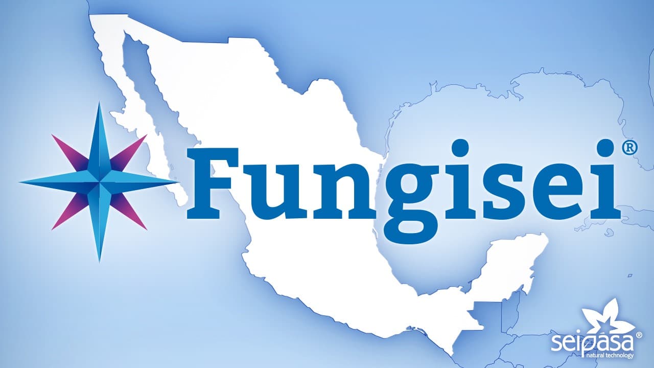 Seipasa obtiene el registro de Fungisei para viña en México