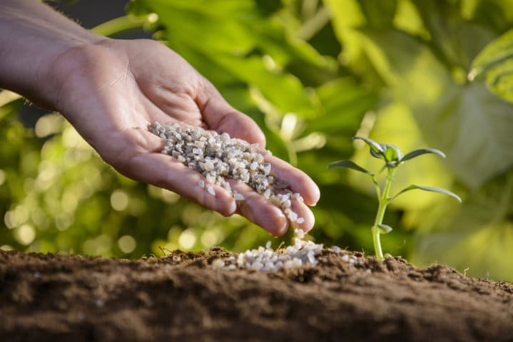 ¿Qué es POLYSULPHATE? Un fertilizante multinutriente S Mg K Ca