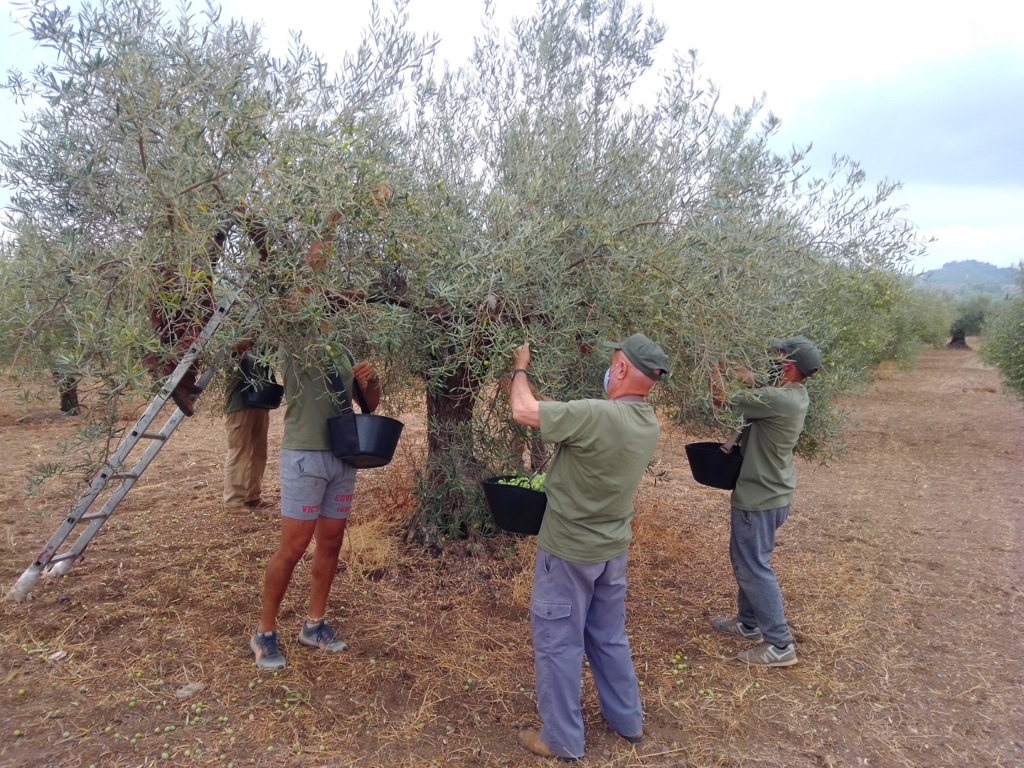 La actividad Agricultura fue la única que creó empleo neto en el primer trimestre de 2021