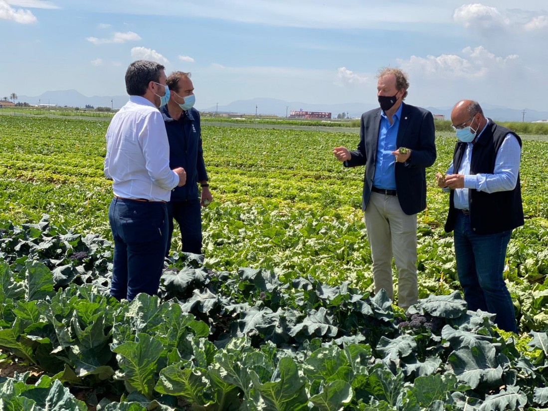 Antonio Luengo visita la finca experimental El Aljibe de Bejo