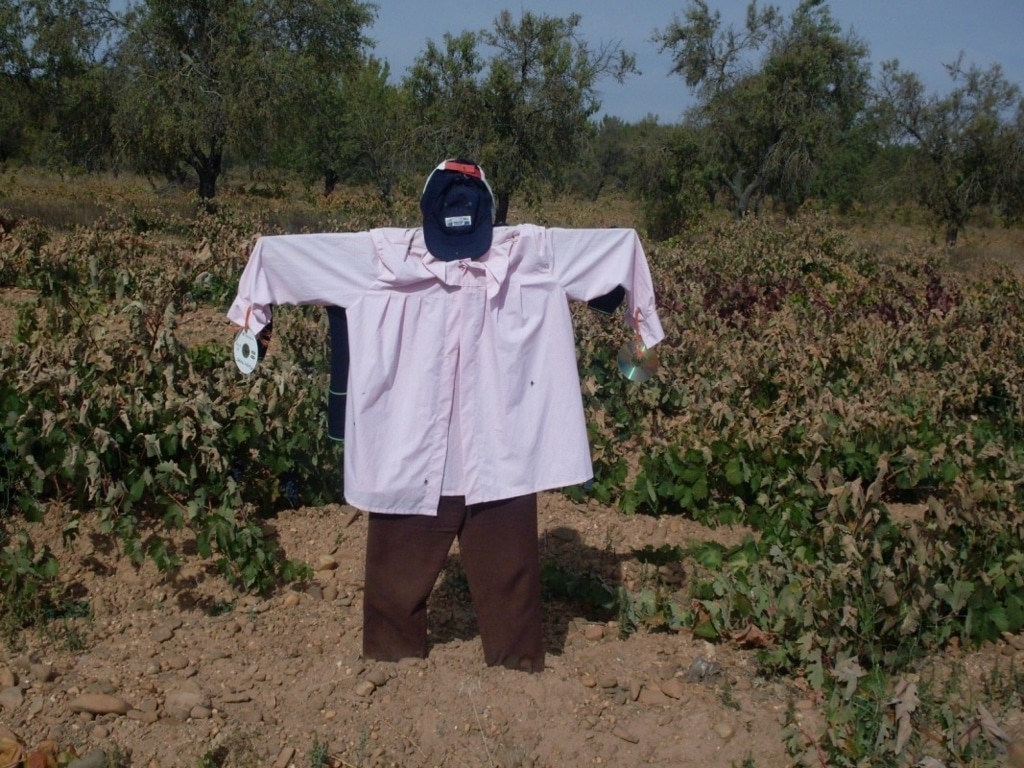 El envejecimiento de los agricultores europeos es uno de los mayores desafíos a los que se enfrentan las zonas rurales