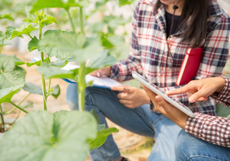 El MAPA ultima proyecto de RD sobre ayudas para estancias formativas de jóvenes agricultores en explotaciones modelo