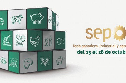 Sepor se transforma en virtual por segundo año
