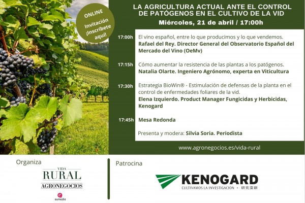 webinar vina Vida Rural organiza un webinar sobre el control de patógenos en el cultivo de la vid