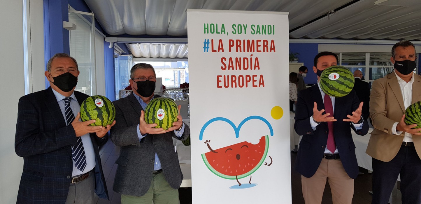Coexphal y Hortiespaña lanzan SANDI, «la primera sandía europea»