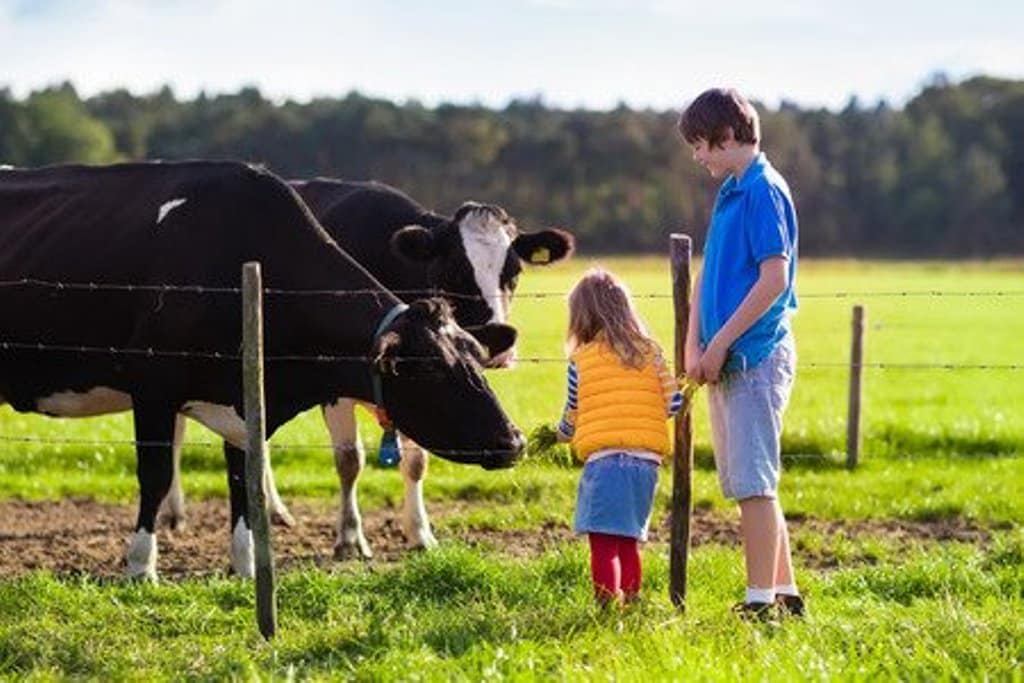 Eurobarómetro: una remuneración justa para los agricultores, tercera máxima prioridad que debería tener el Pacto Verde Europeo