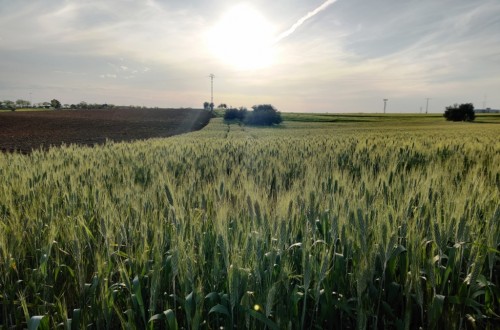 España presenta en Bruselas su plan oficial de recuperación y resiliencia
