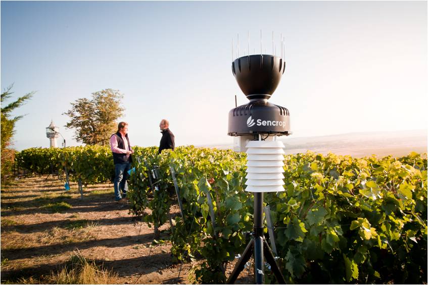 Innovación en la agricultura: Sencrop reúne ahora los principales modelos meteorológicos en una sola aplicación