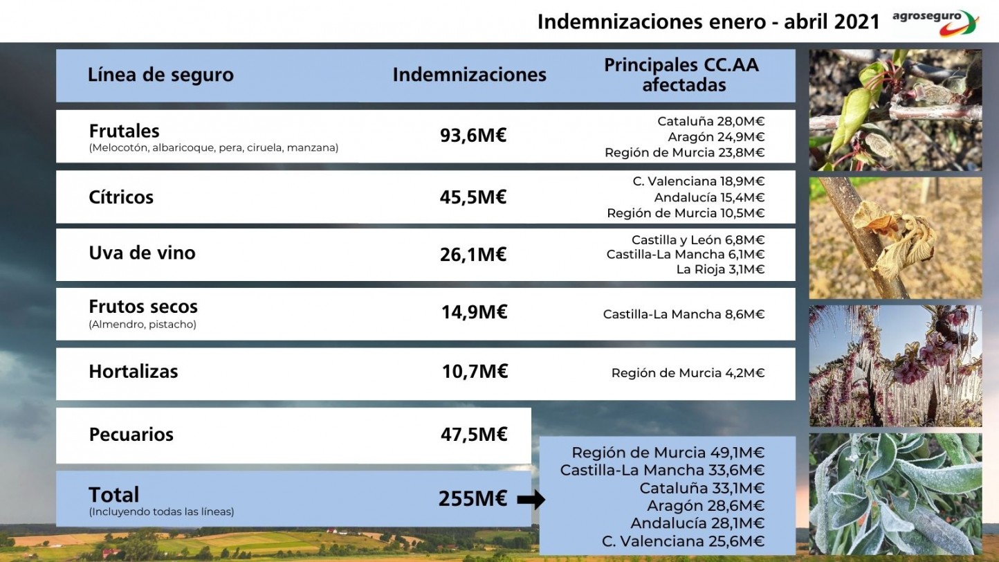 La siniestralidad en cultivos y ganado asegurados se elevó a más de 255 M€ hasta 30 de abril