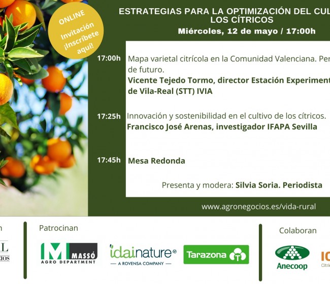 Vida Rural celebra el 12 de mayo un webinar sobre estrategias para la optimización del cultivo de los cítricos