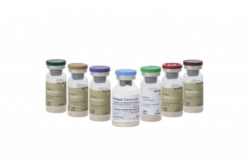 Calier presenta una nueva propuesta de biológicos para avicultura