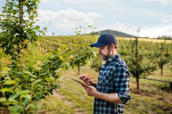 Farmable, la app gratuita para la gestión de cultivos leñosos, llega a España