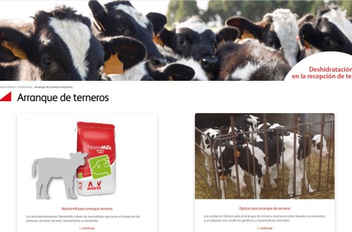 Nanta completa su gama de piensos de arranque con dos nuevas propuestas