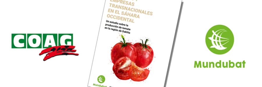 COAG y Mundubat denuncian la “megápolis del tomate” que Marruecos construye ilegalmente en Dakhka, Sáhara Occidental