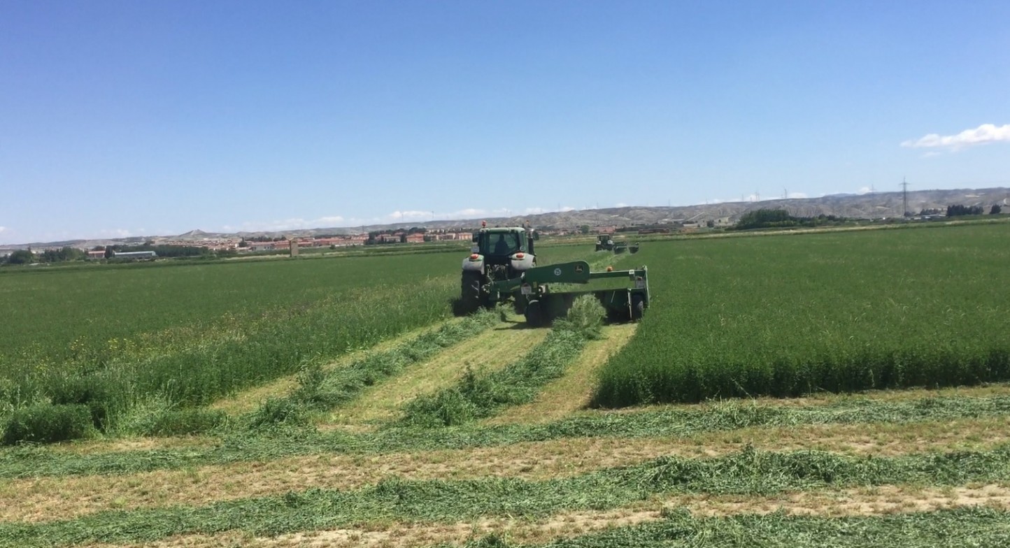 Más de 55 países compraron alfalfa deshidratada española en la campaña 2020/21