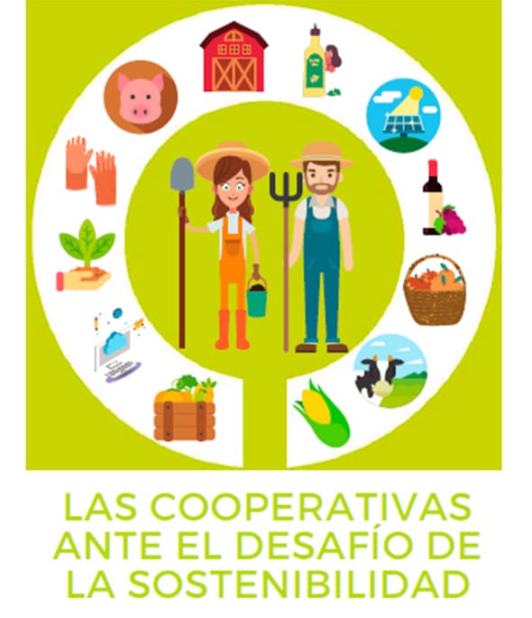 Cooperativas debate los retos de estas entidades asociativas agro-alimentarias para la próxima década