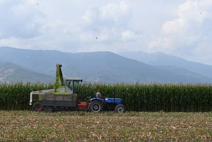 El Índice FAO de precios mundiales de los alimentos básicos aceleró su ritmo de subida en mayo