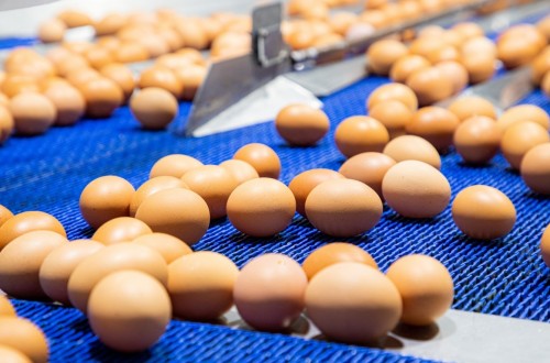 Agricultura inicia las consultas de la nueva legislación comunitaria sobre comercialización de huevos