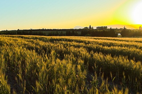 Aragón aprueba el proyecto de ley de la Agricultura Familiar y del Patrimonio Agrario