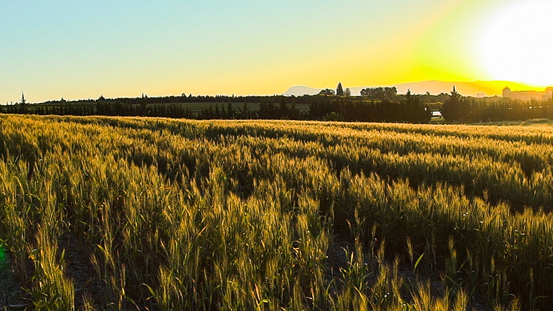 Aragón aprueba el proyecto de ley de la Agricultura Familiar y del Patrimonio Agrario