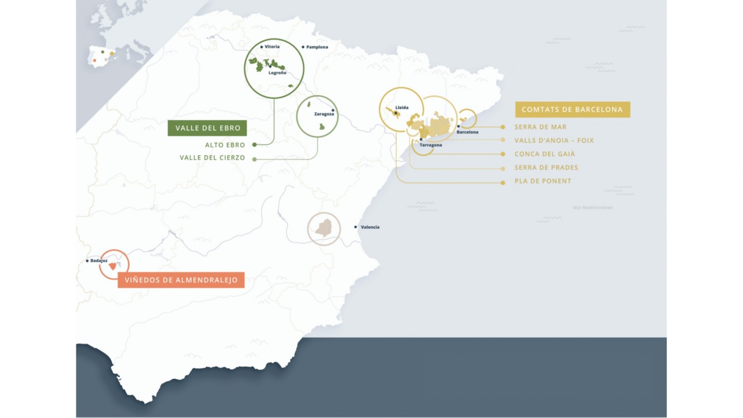 EL BOE oficializa la nueva zonificación y segmentación de la DOP Cava