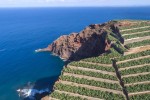 Canarias convoca ayudas por 7,14 millones para la modernización de las explotaciones agrícolas