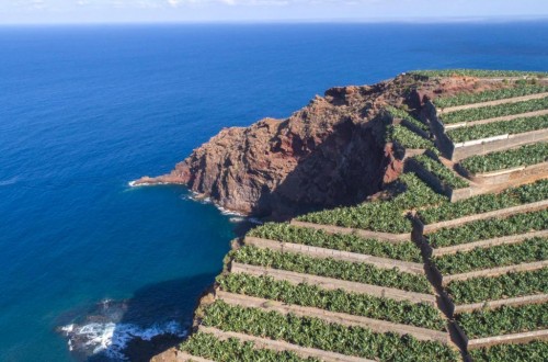 El Gobierno hace más accesible la constitución de OPFH en islas de Baleares y Canarias