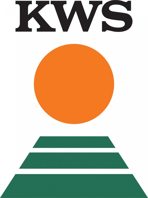 KWS Inteligens y KWS Selecto, la respuesta de KWS al desafío del maíz rastrojero