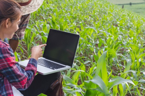 El sector agroalimentario lleva al pleno empleo a ingenieros agrónomos de Aragón, Navarra y el País Vasco