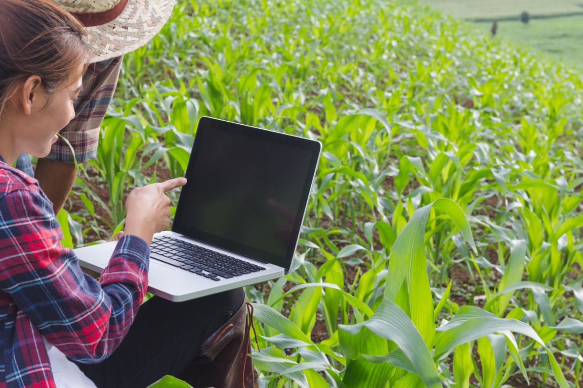 El sector agroalimentario lleva al pleno empleo a ingenieros agrónomos de Aragón, Navarra y el País Vasco