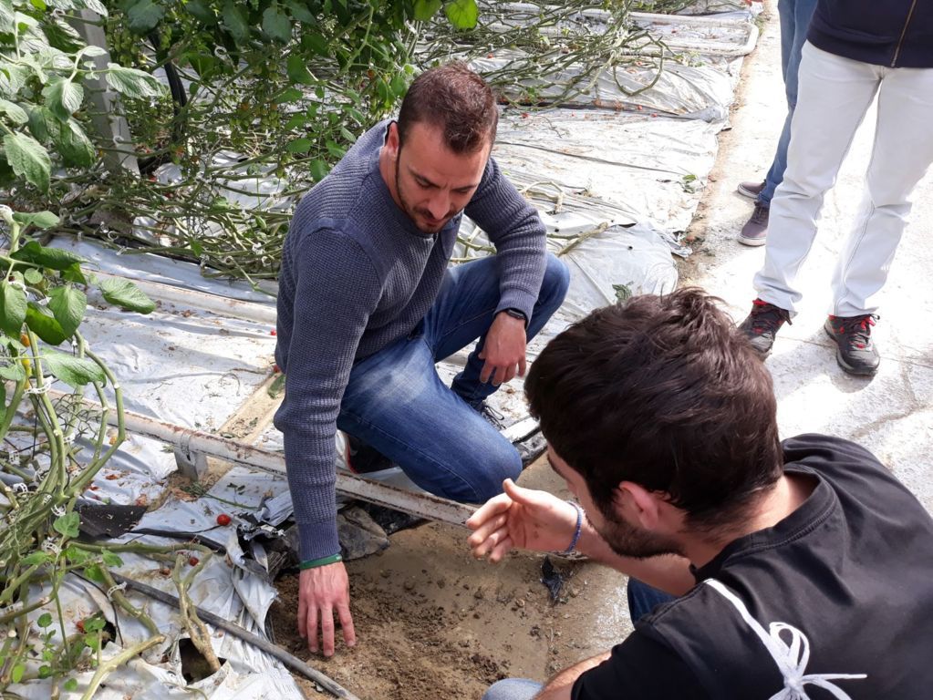 La iniciativa de formación de jóvenes agricultores CULTIVA contará con un millón de euros en 2021