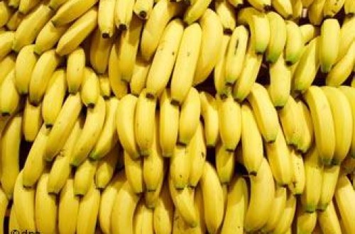 La UE decide no suspender los aranceles que tiene la banana