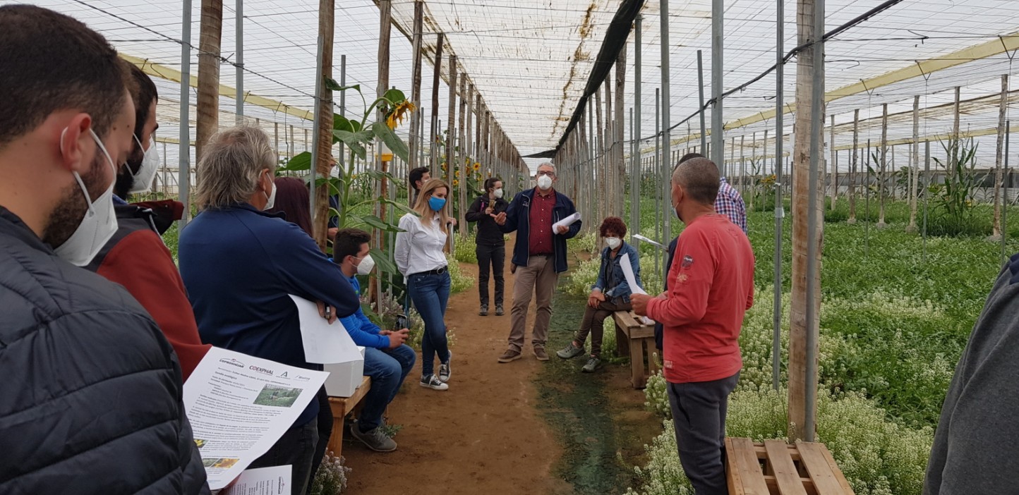 La Red Rural Nacional organiza una jornada informativa sobre el Programa “Cultiva” 2021