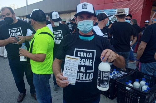Ganaderos andaluces reparten leche en protesta por los bajos precios
