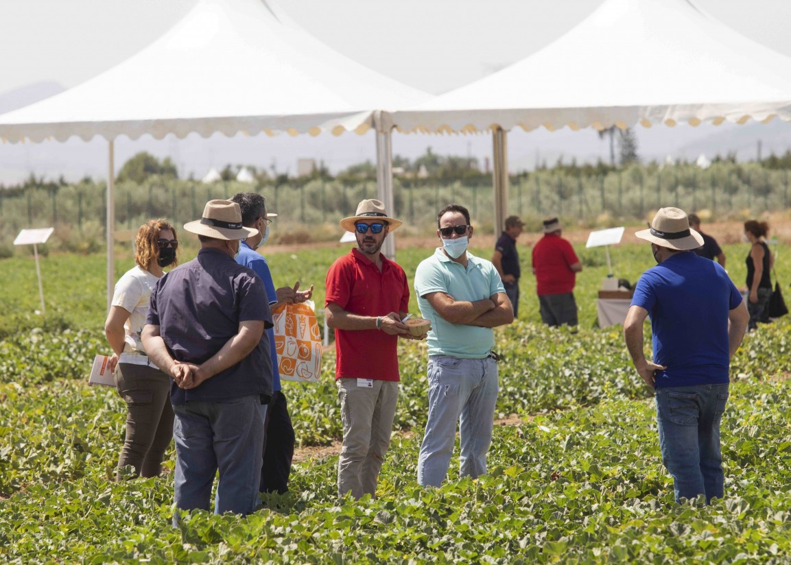 Basf presenta en Cartagena sus nuevas variedades de melón y sandía