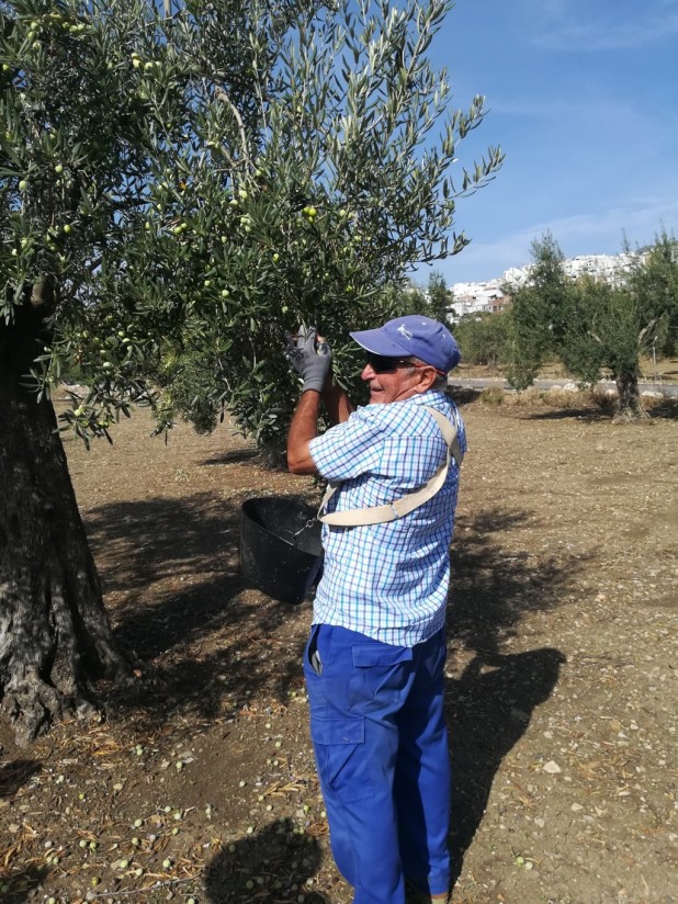 Agricultura fue en junio el único de los grandes sectores económicos donde aumentó el paro registrado