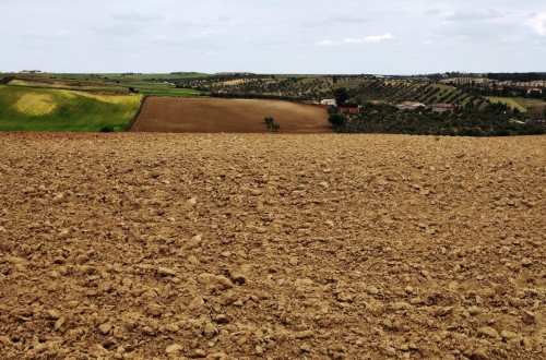 El BOE publica la Ley 2/2021 contra la despoblación de Castilla-La Mancha