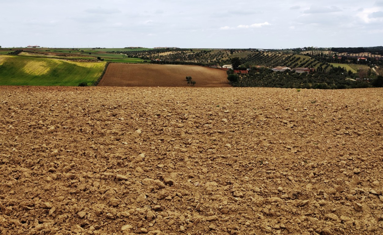 El BOE publica la Ley 2/2021 contra la despoblación de Castilla-La Mancha